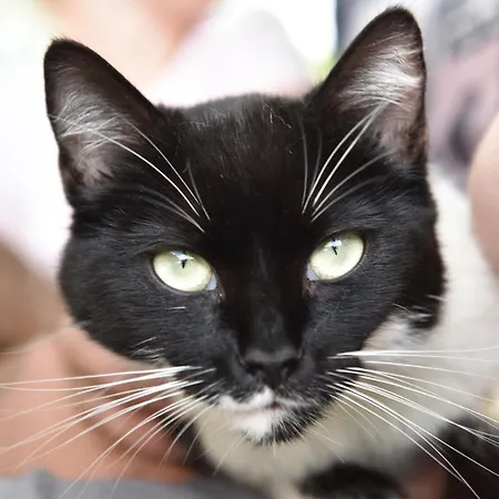 شقة Wiesenhof Rusch البيرشوينده