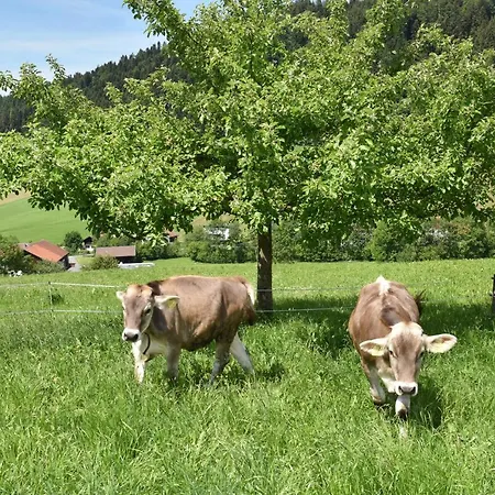 Wiesenhof Rusch *