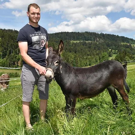 Daire Wiesenhof Rusch Alberschwende