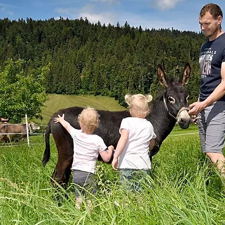 Apartamento Wiesenhof Rusch Alberschwende