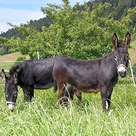 Wiesenhof Rusch